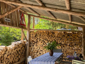 OFF GRID Gassberg watermill chalet